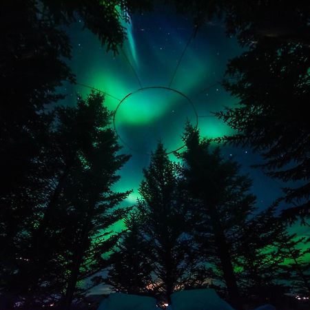 Buubble Hotel - Oelvisholt Selfoss Eksteriør billede